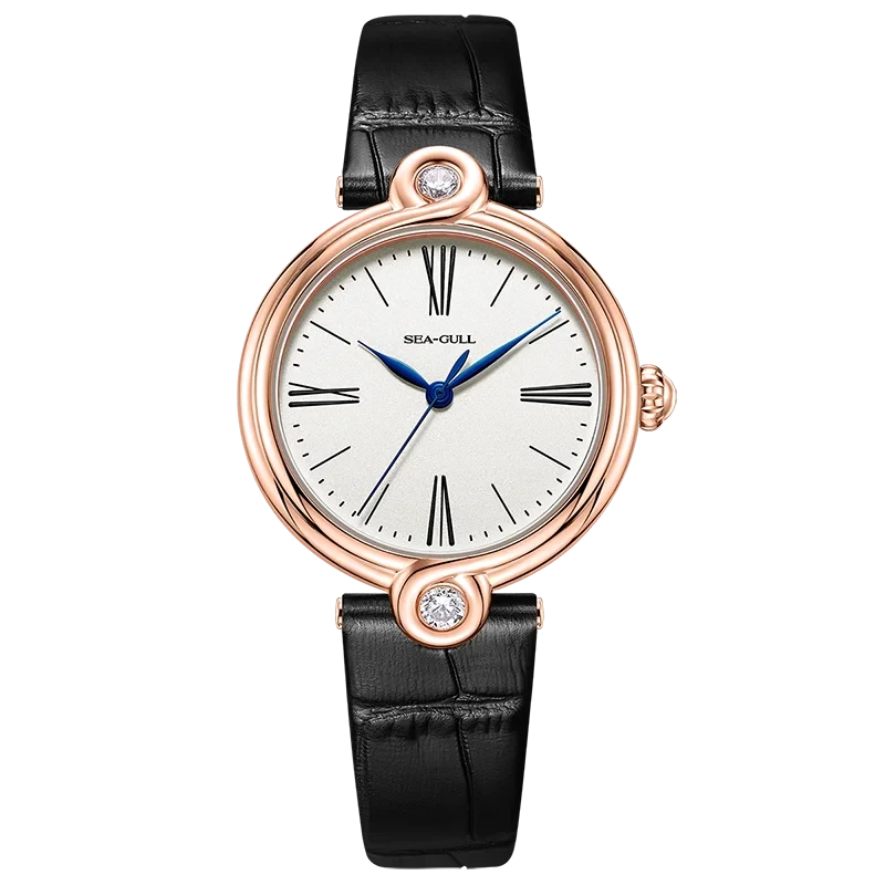 Seagull 1043L Women’s Automatic Watch – Simple Luxury Sapphire Smash Price Shop Women's Watch