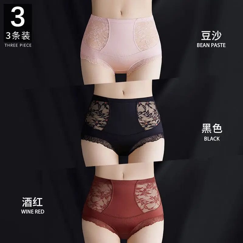 SPS - High-Waist Lace Briefs for Women