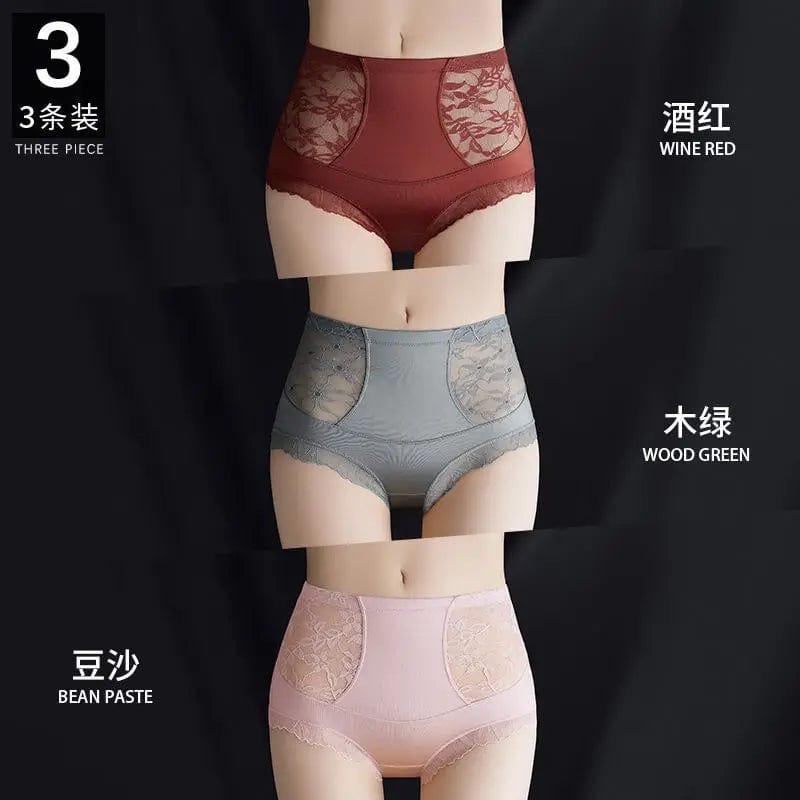 SPS - High-Waist Lace Briefs for Women