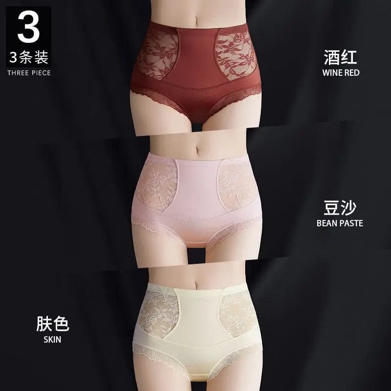 SPS - High-Waist Lace Briefs for Women