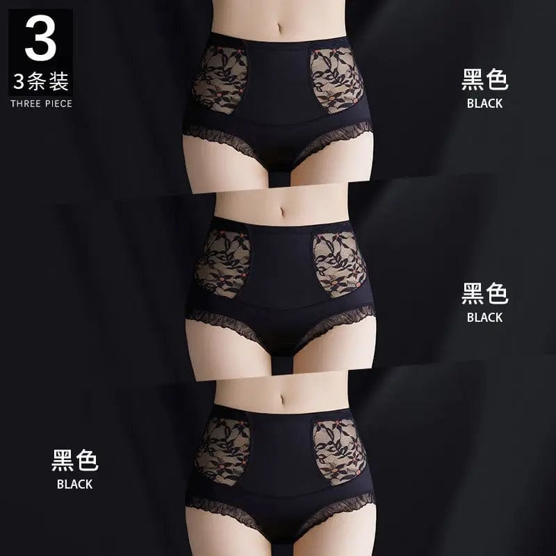 SPS - High-Waist Lace Briefs for Women