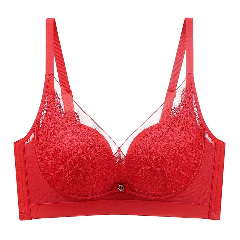 SPS - Lace Bra Set Underwear