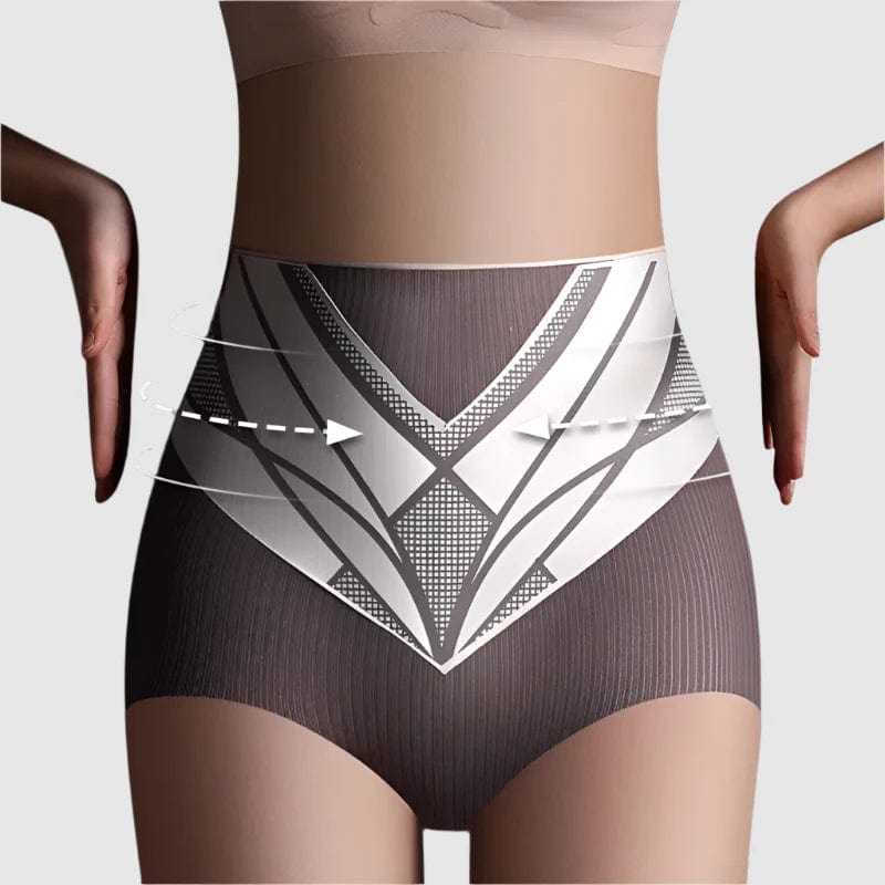 SPS - Silk Shaping High-Waist Briefs