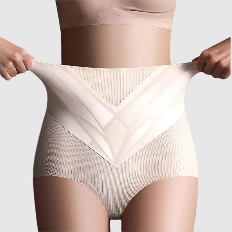 SPS - Silk Shaping High-Waist Briefs