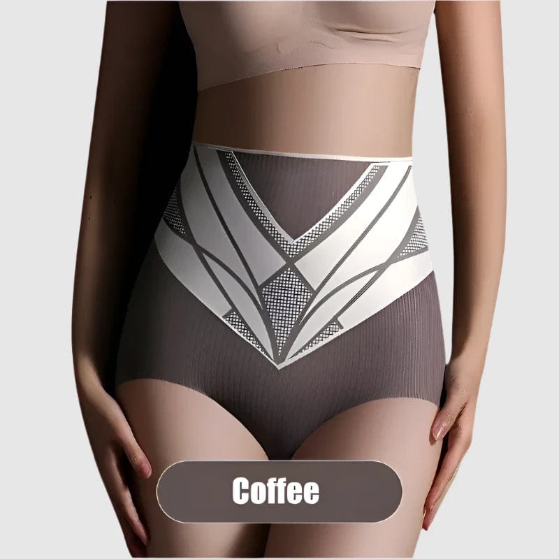 SPS - Silk Shaping High-Waist Briefs