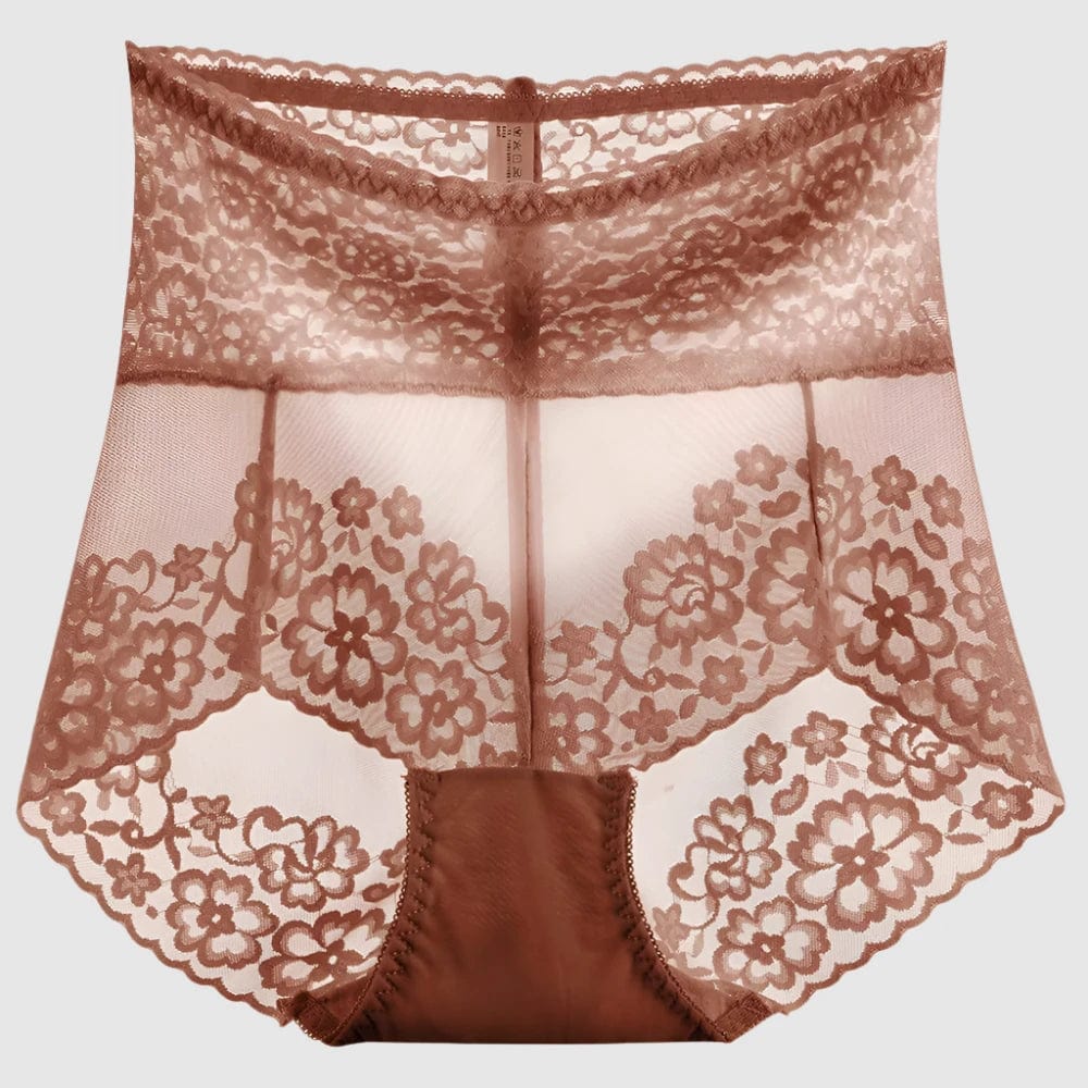 SPS - Sexy Lace High-Waist Briefs